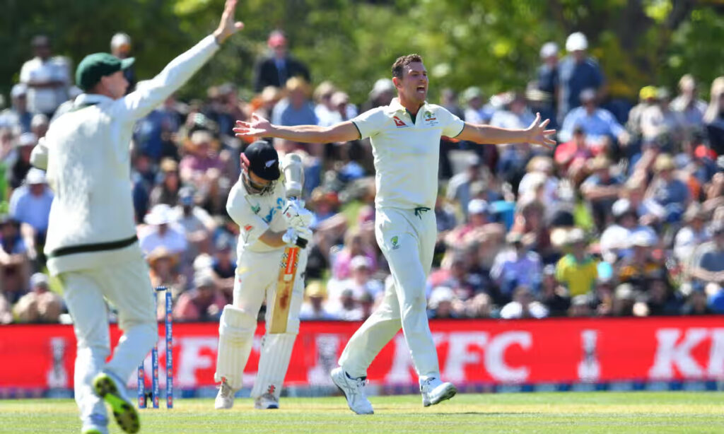 Aus vs Nz : Hazlewood celebrates after dismissing Kane Williamson